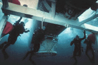 Rescue 
