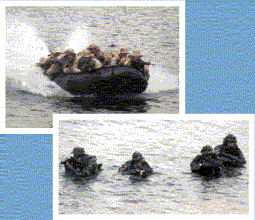 Seal Insertion, caption follows