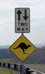 Australian kangaroo crossing and two way traffic sign.