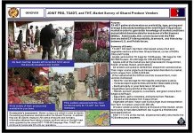 Graphic showing Example of a market survey