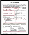 Graphic showing Sample DD Form 250