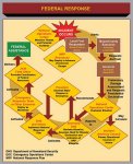 Graphic showing diagram of a graphic display of a federal response under the Stafford Act
