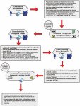 Graphic showing diagram of a mass evacuation process flow