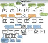 BCT Organization