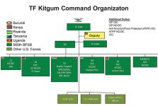 Graphic showing diagram of TF KITGUM Command Organization
