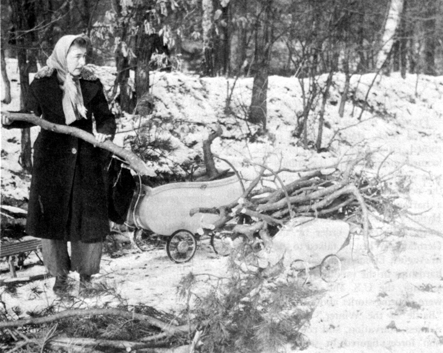 GATHERING FIREWOOD, February 1946.
