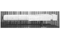 AGM-124 Wasp