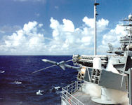 Sea Sparrow
