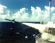 Sea Sparrow
