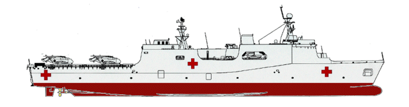 T-AH Future / LPD-17 Option