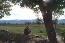 Field with view of the snow-capped mountains outside Bagram