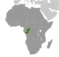 Congo-Brazzaville Map