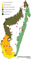 Madagascar Map