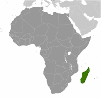 Madagascar Map