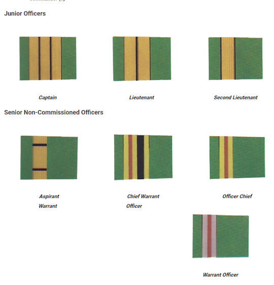 Niger Military Rank Insignia