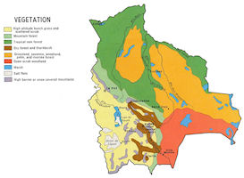 Bolivia Map Vegetation