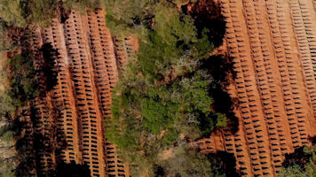 Sao Paulo graveyard