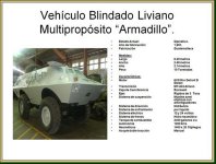 Armadillo armored personnel carriers (VBTP)