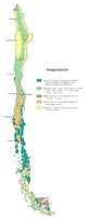 Chile Vegetation Map