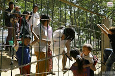 Myanmar Border Fence - Great Wall of the South