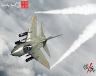 Nanchang Q-6
