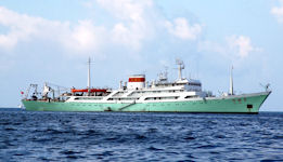 Shiyan 3