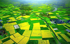 Sichuan Basin