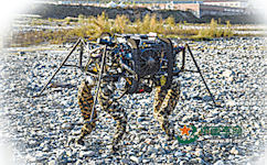 China - Military Robots