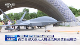 Wing Loong 10
