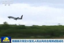 Wing Loong 10