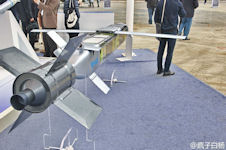 WS-43 Loitering Munition