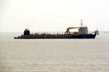 Xin Hai Feng