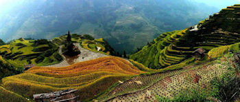 Yunnan-Guizhou Plateau