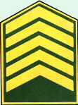 sgto1_tt.jpg (7188 bytes)