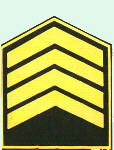 sgto2_m.jpg (6460 bytes)