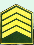 sgto2_tt.jpg (6680 bytes)