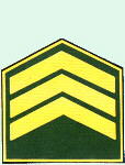 sgto3_tt.jpg (5730 bytes)