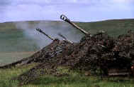 Lt Gun L118