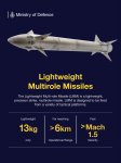 Lightweight Multirole Missile (LMM)