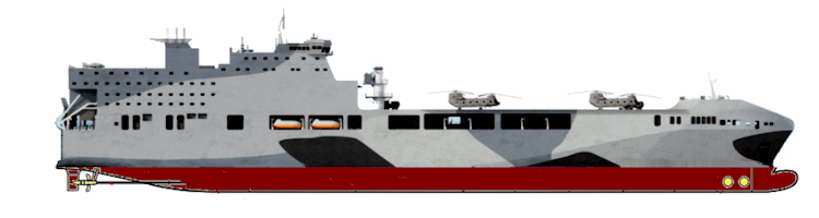 Littoral Strike Ship (LSS) / Multi-Role Vessel (MRV)