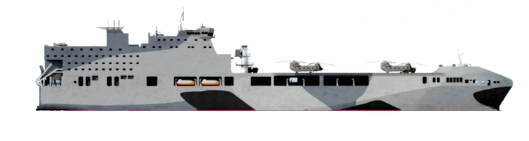 Littoral Strike Ship