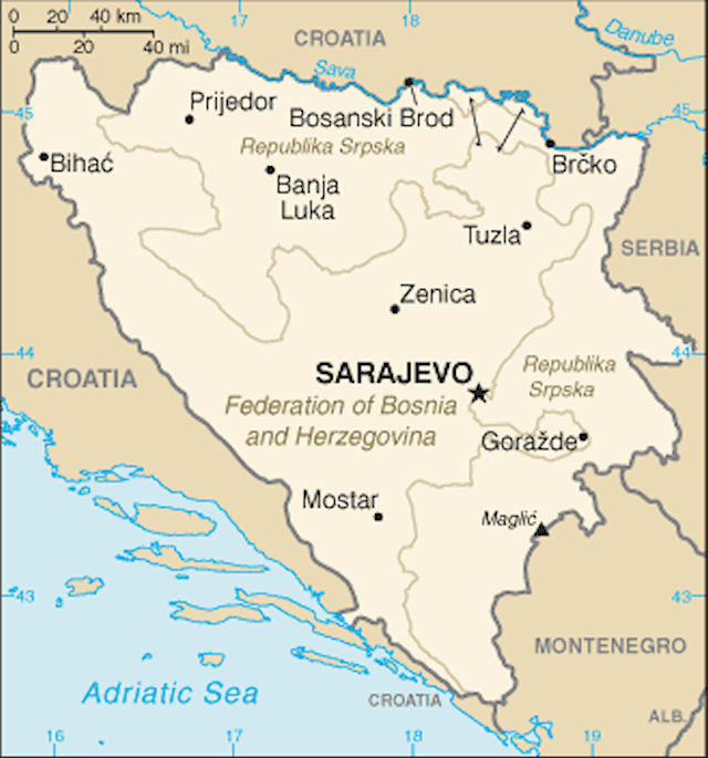 Bosnia and Herzegovina (BiH) Introduction