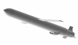 Missile de Croisire Naval (MdCN)