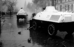 MOWAG Roland 44