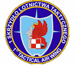  1st Tactical Air Wing