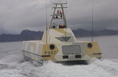 Skjold Surface Effect Ship (SES)