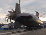 Type 209