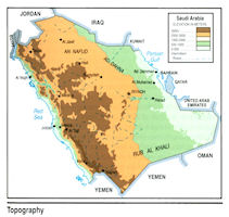 Saudi Arabia Topography Map