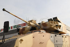 Rila 8x8 IFV