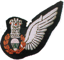 Para Jumping Instructor